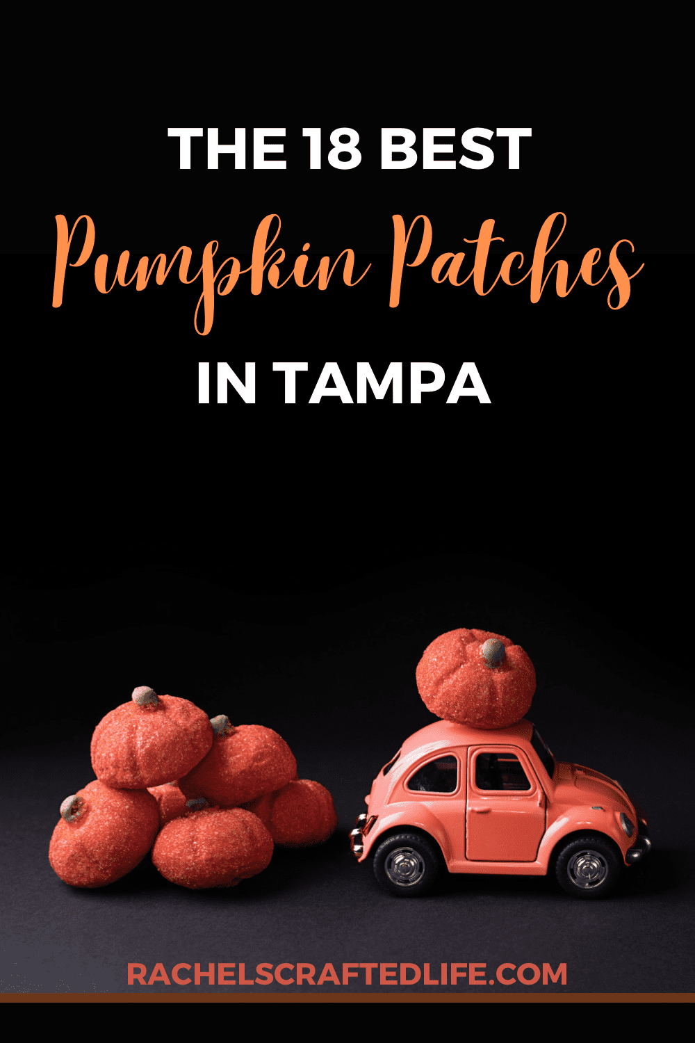 You are currently viewing The 18+ Best Pumpkin Patches in Tampa