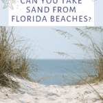 Is It Illegal to Take Sand from the Beach in Florida