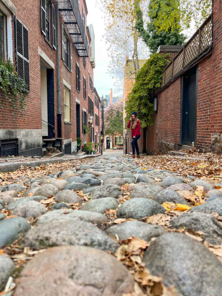 Another view of Acorn Street from above. The cobblestone streets are hard to walk on, so watch your step. This area is a very instagrammable place in Boston.