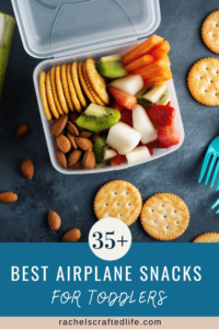 Read more about the article 35 Best Airplane Snacks for Toddlers Who Travel
