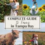 Complete Guide to Farms in Tampa Bay
