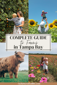 Read more about the article Complete Guide to Farms in Tampa Bay