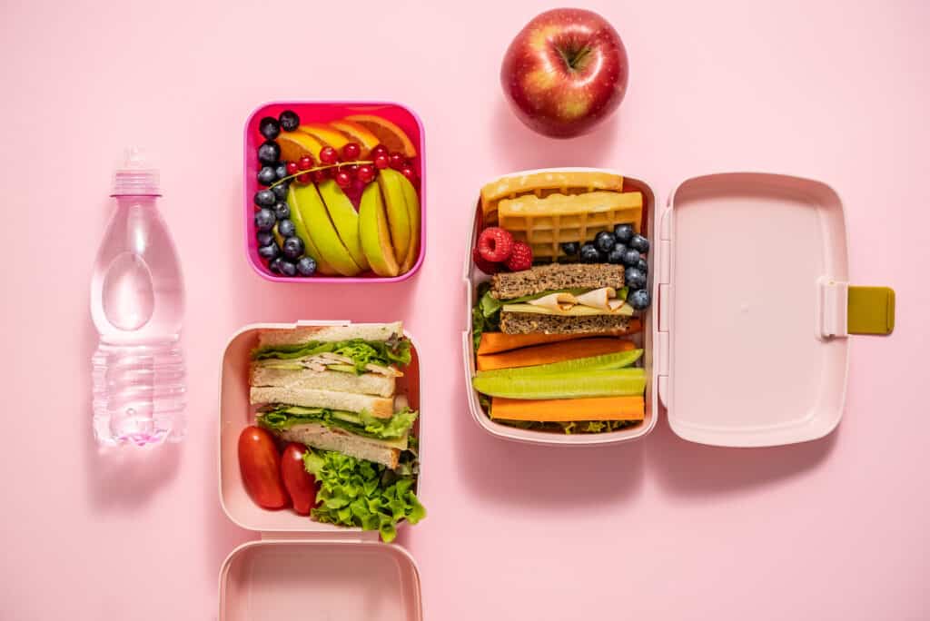 healthy snacks for toddlers in lunch boxes ready to be taken on a flight.