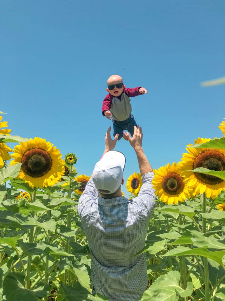 Father and son enjoying a u-pick sunflower field at a farm near Tampa.