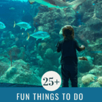 25+ Fun Things to Do in Tampa with Toddlers