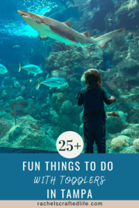 Read more about the article 25+ Fun Things to Do in Tampa with Toddlers
