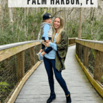 11 Best Things to Do in Palm Harbor, FL