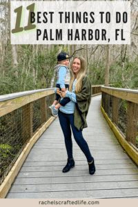 Read more about the article 11 Best Things to Do in Palm Harbor, FL