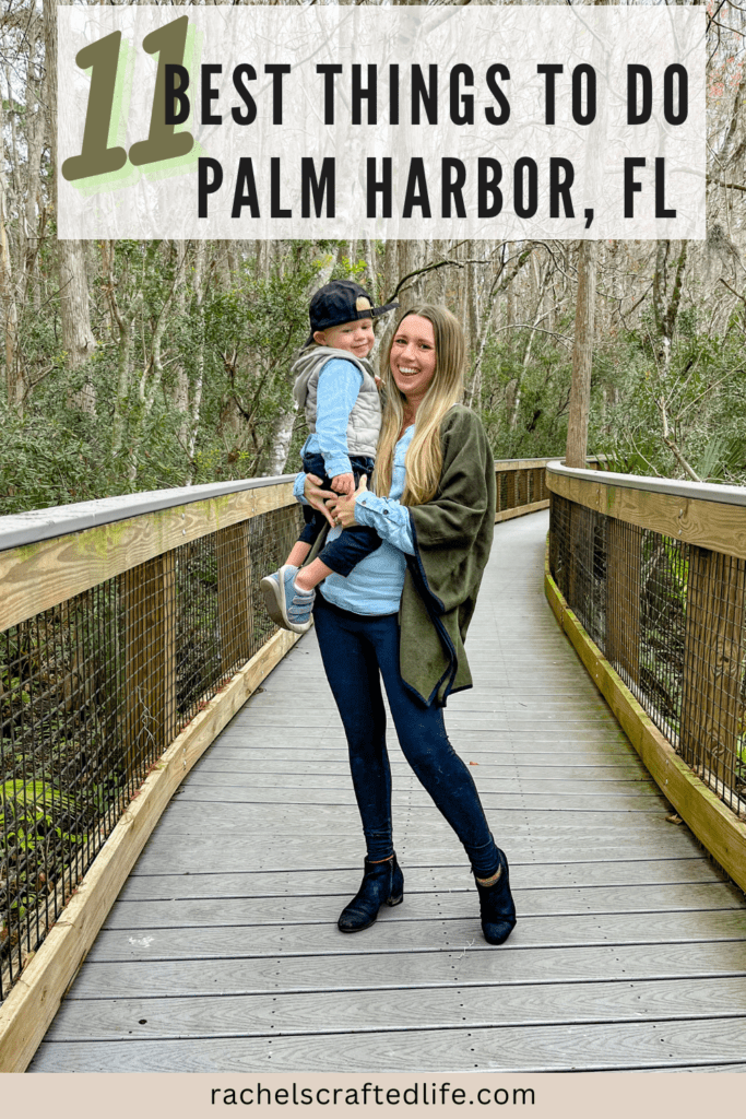 11 Best Things To Do In Palm Harbor Fl Rachels Crafted Life 6426