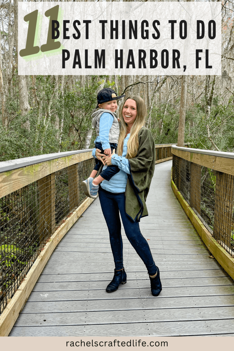 11 Best Things to Do in Palm Harbor FL Rachel #39 s Crafted Life