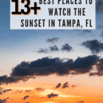 13+ Best Places to Watch the Sunset in Tampa