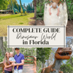 Guide to Plant City’s Dinosaur World in Florida