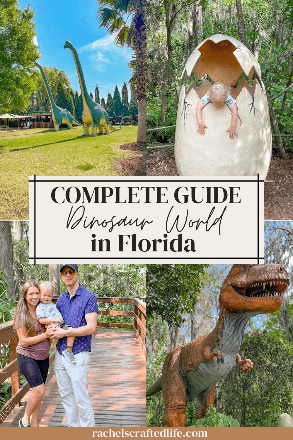 Read more about the article Guide to Plant City’s Dinosaur World in Florida