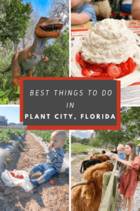 Read more about the article 8 Best Things to Do in Plant City, FL