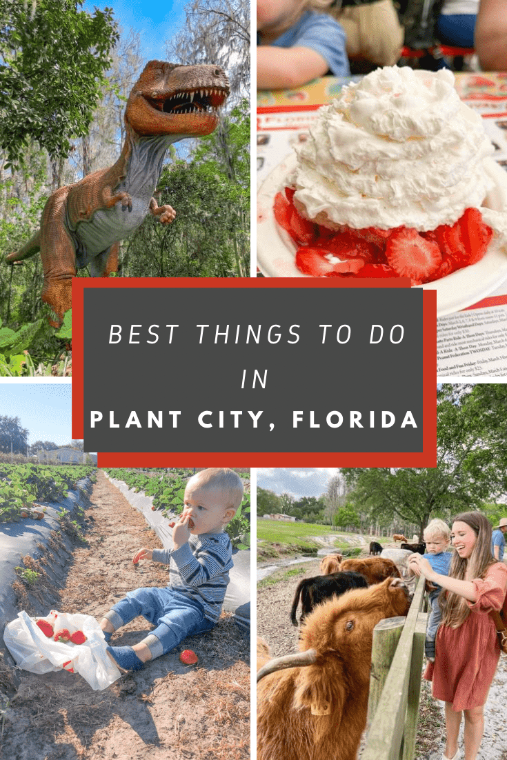 You are currently viewing 8 Best Things to Do in Plant City, FL
