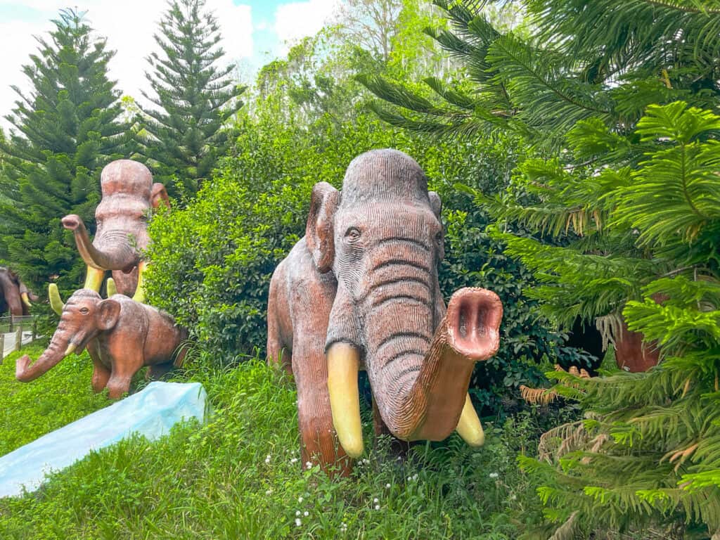 Along side the Dinosaurs are models of other prehistoric animals such as Wholly Mammoths.