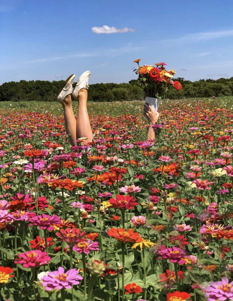 Unique poses for photos in a flower field such as this one with legs and a glass of flowers seen above a field of zinnias.