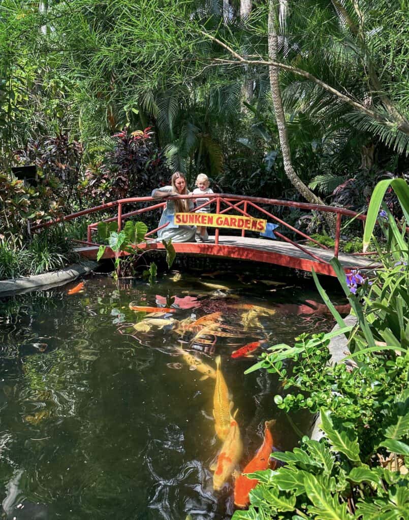 Mother and son standing on a bridge in sunken gardens while watching the koi fish.