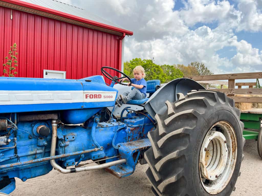 A young boy sitting in the drivers seat of a blue tractor