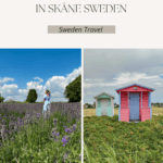 11 Top Things to Do and See in Skåne, Sweden