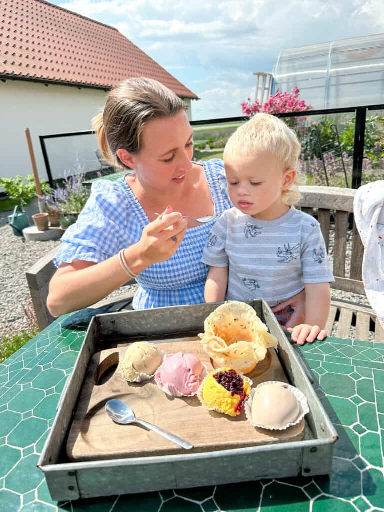 A mother and son sharing ice cream at the osterlenkryddor farm shop.