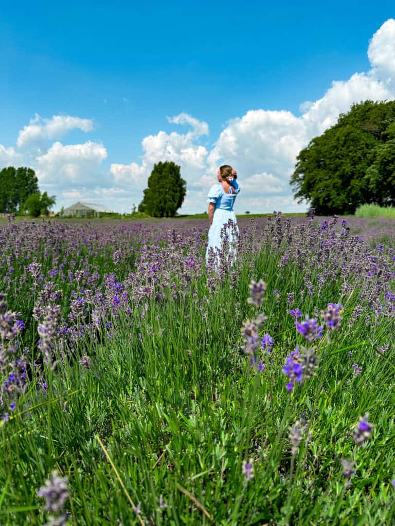 A woman in a blue dress standing in a lavender field in Skåne, Sweden at österlenkryddor farm shop