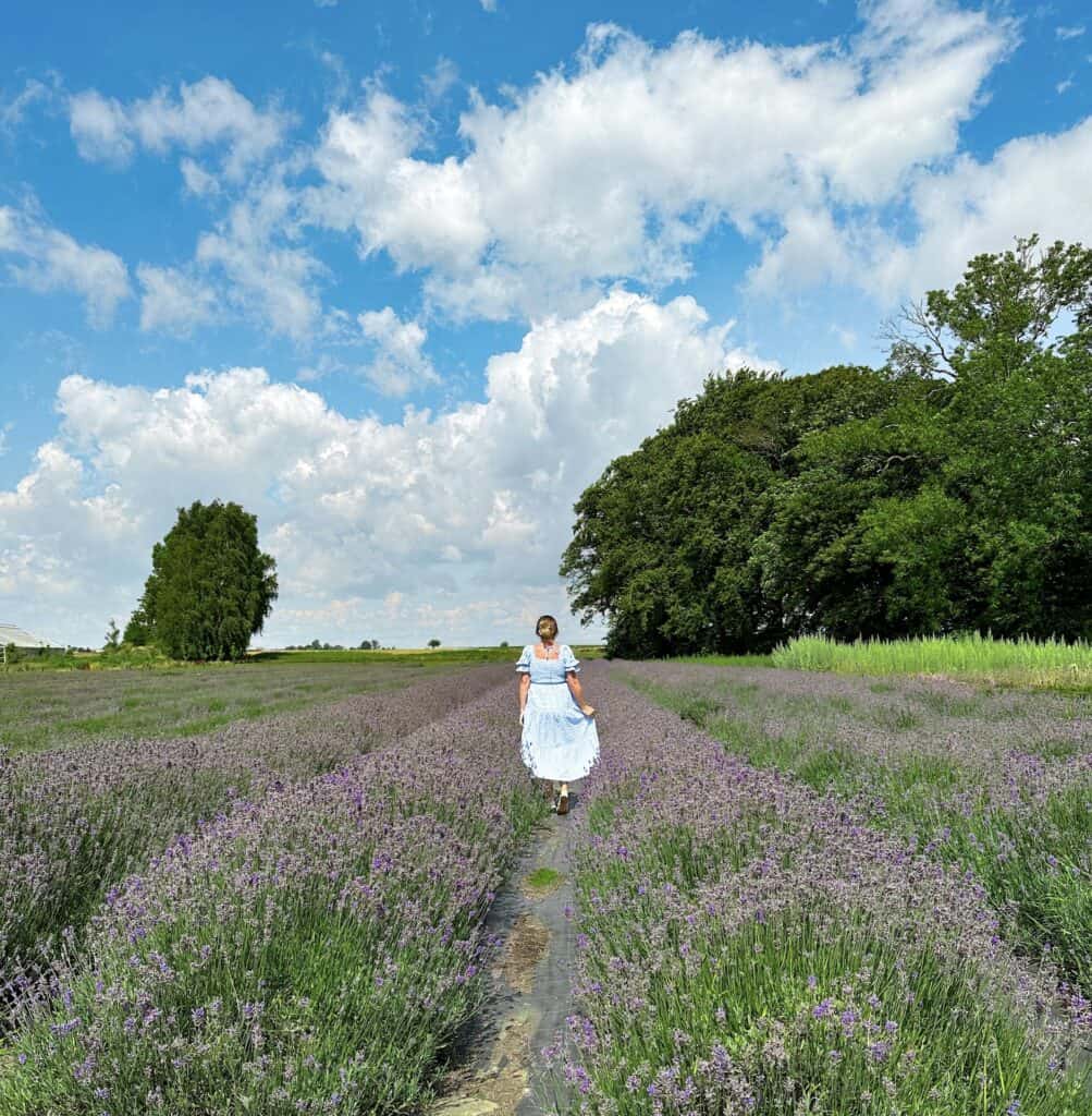 a woman walking through a lavender field in sweden.