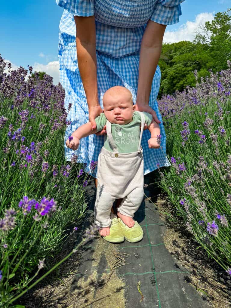 grumpy looking cute baby surrounded by lavender.