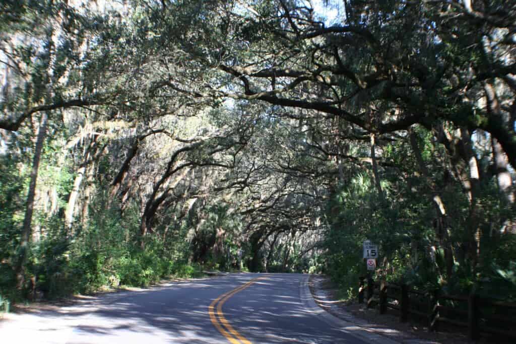 The road going through Philippe Park is scenic and shaded.